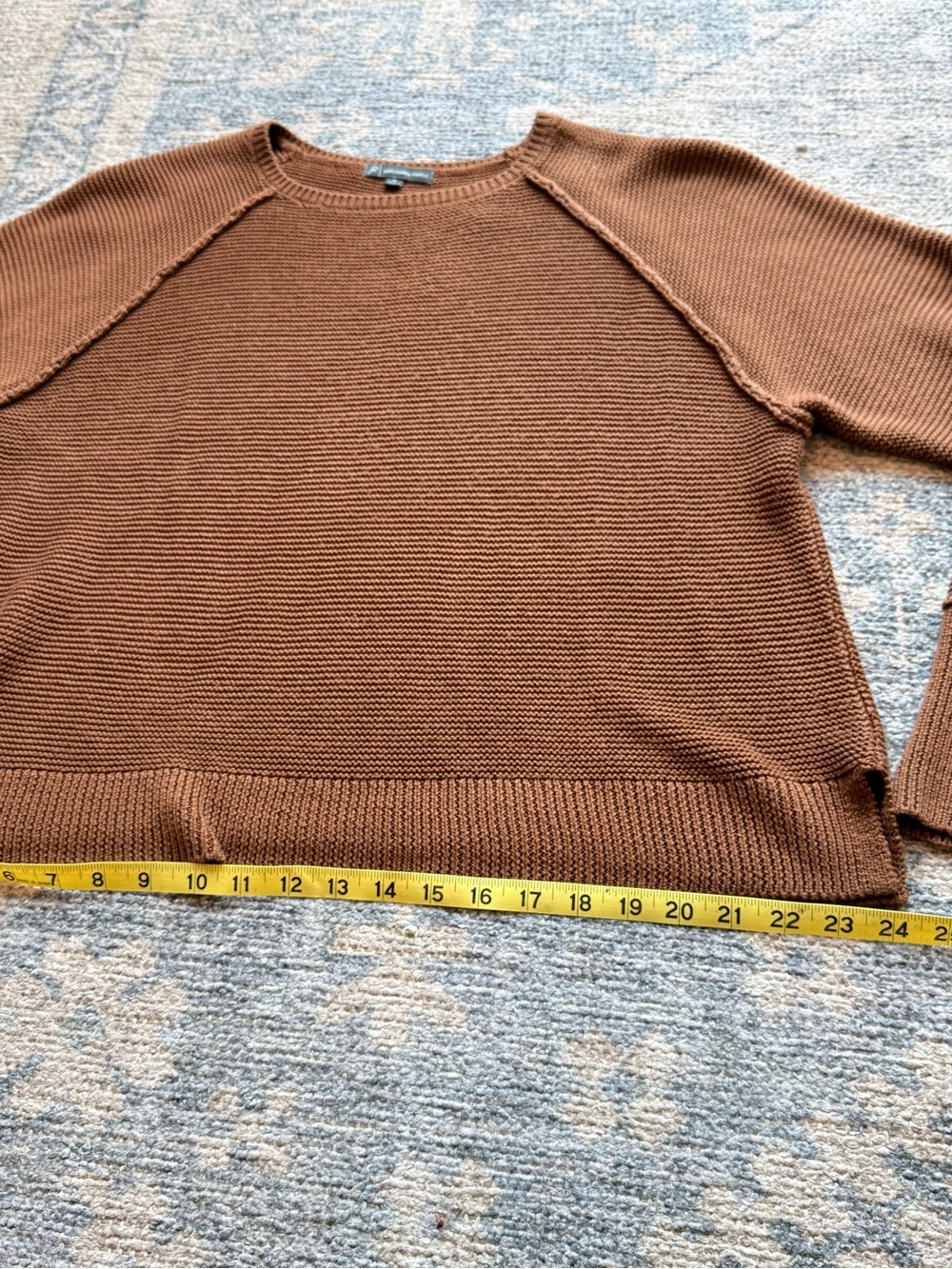 Adrianna Papell Chestnut Brown Raglan Crewneck Sweater